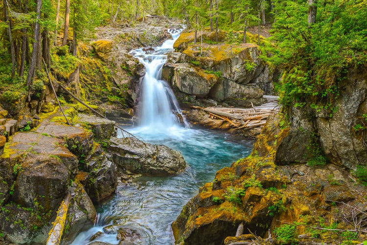 Silver Creek
