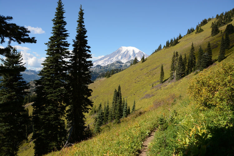 Tatoosh Ridge