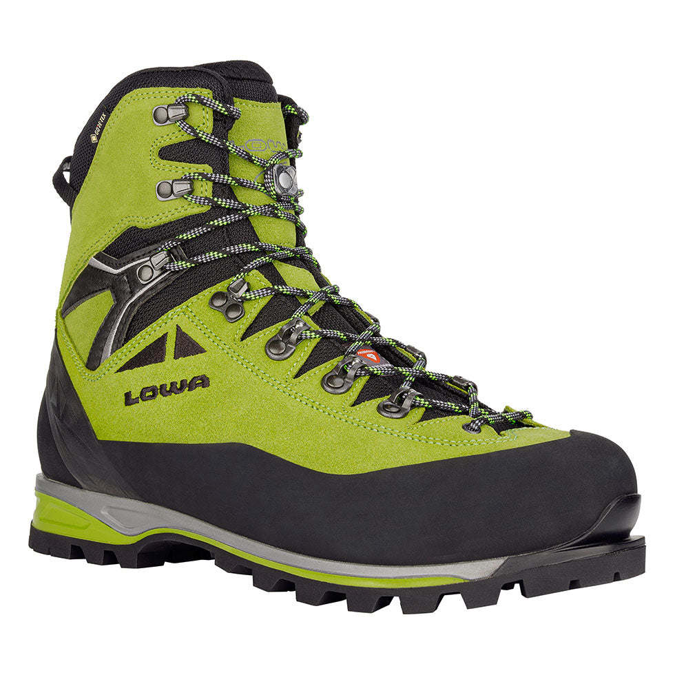 Men's Alpine Expert II GTX