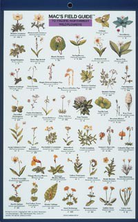 Mac's Field Guide: Pacific NW Wildflowers