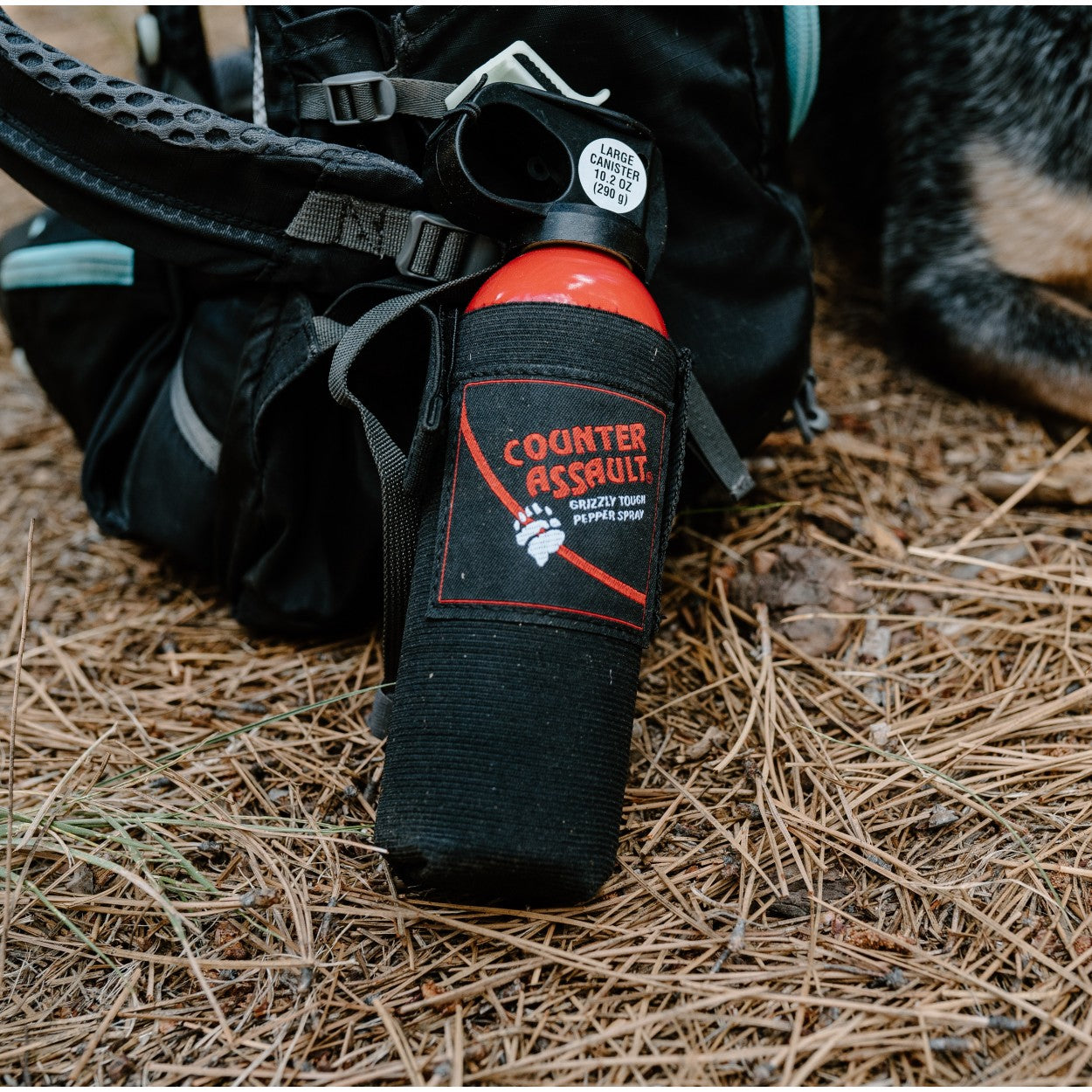 Bear Deterrent with Holster