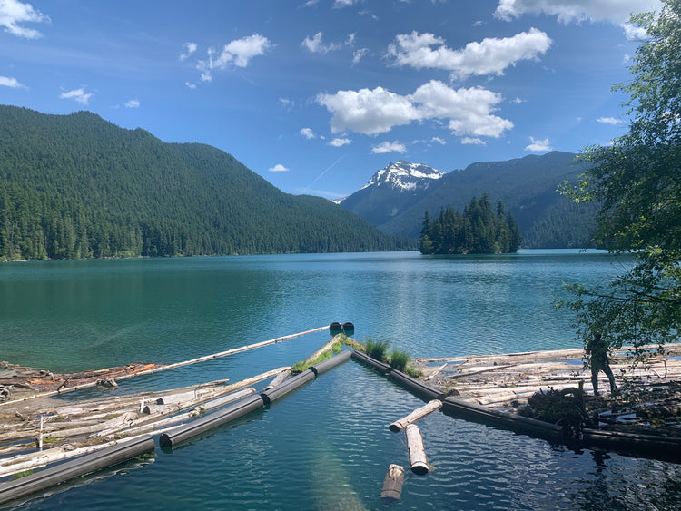 Packwood Lake Current Conditions