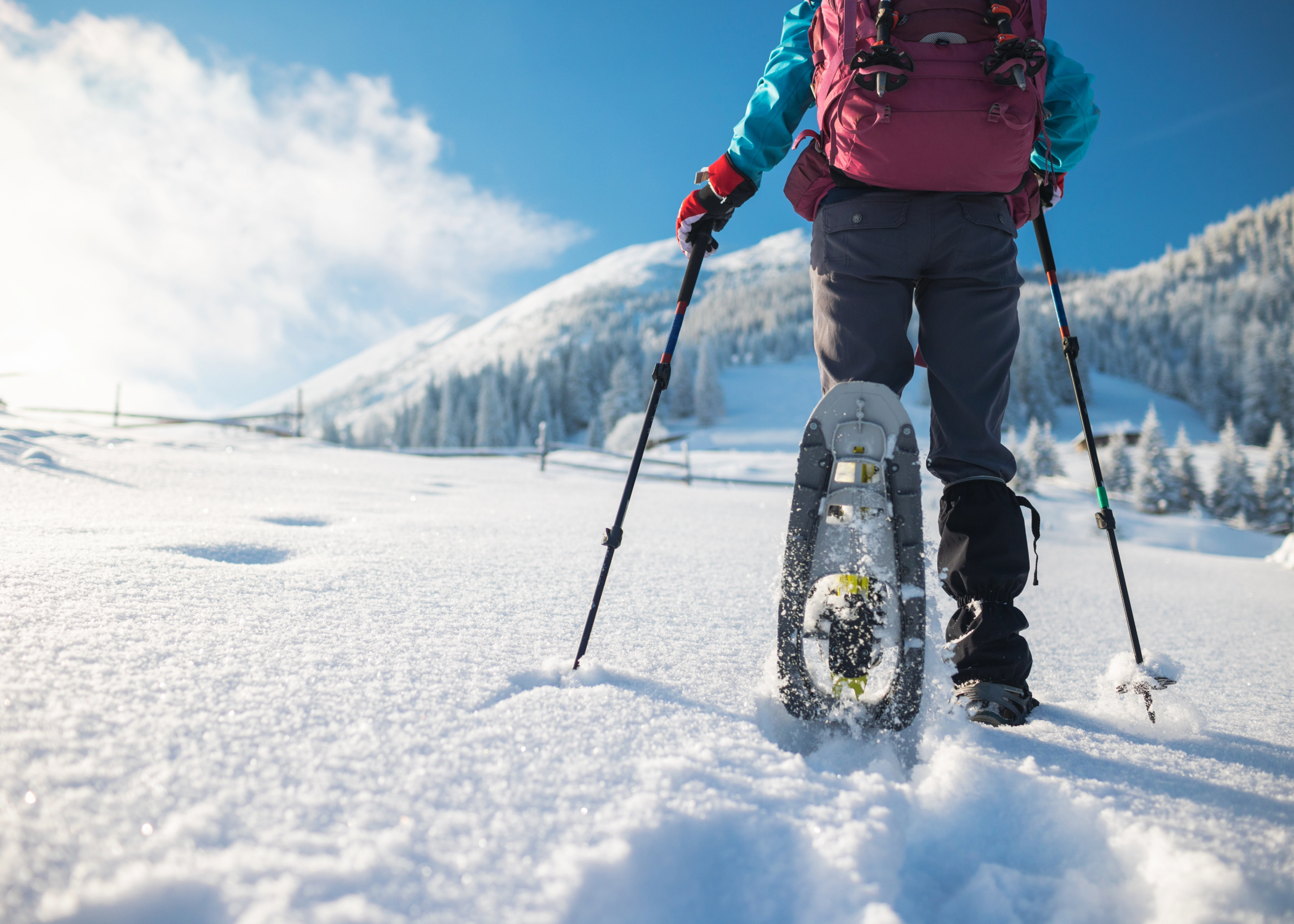 Snowshoes