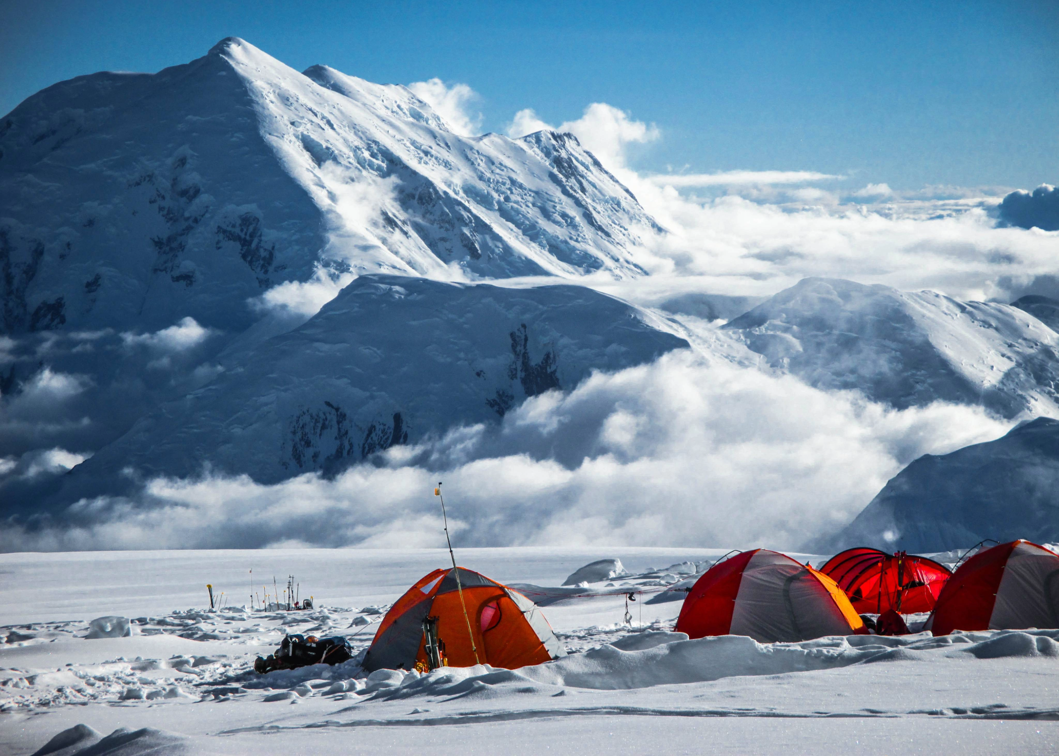 Tent's & Shelters