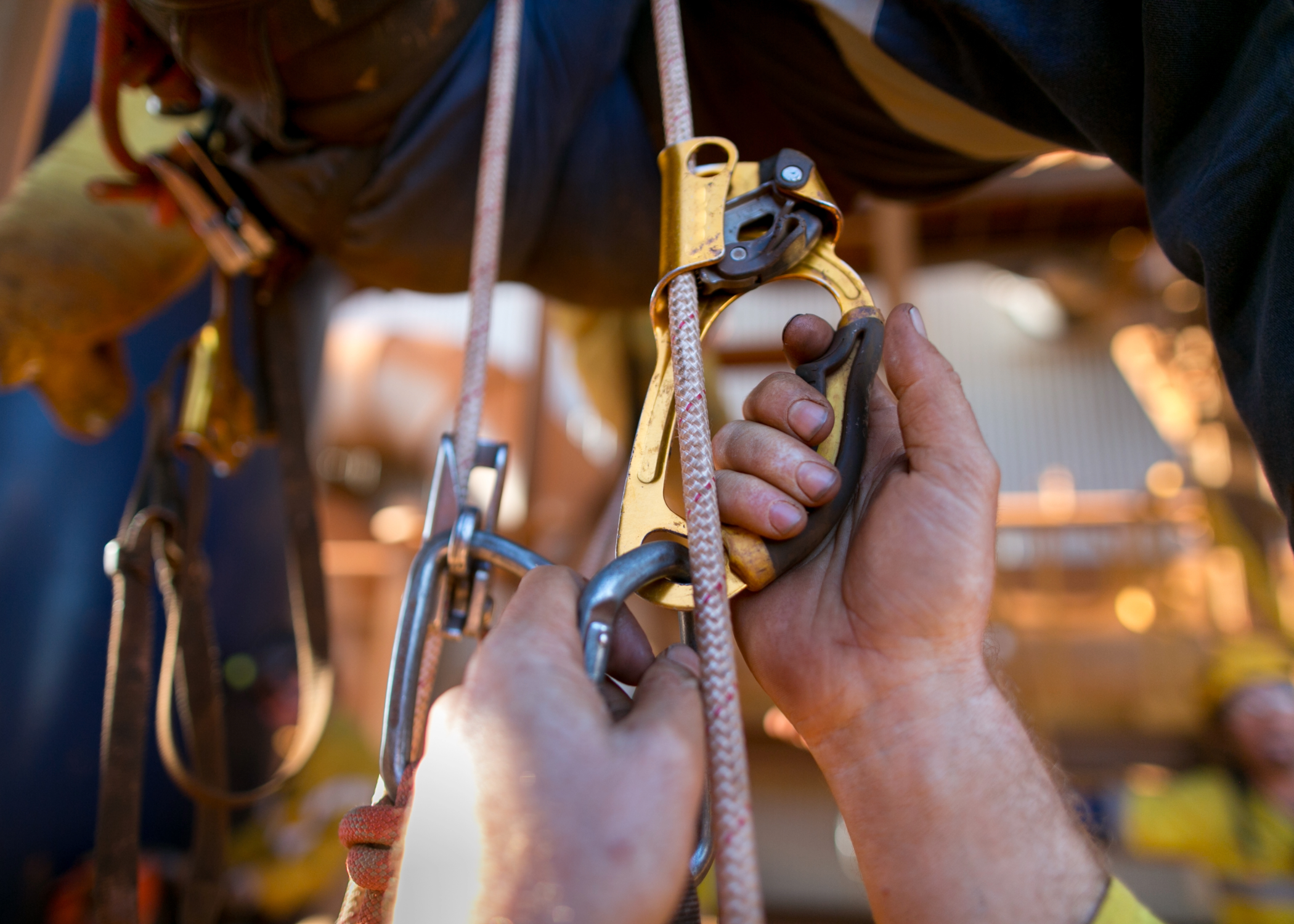 Ascenders & Pulleys
