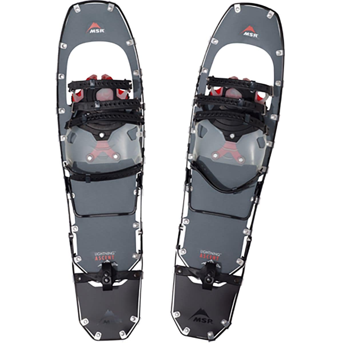 Lightning Snowshoe Tails