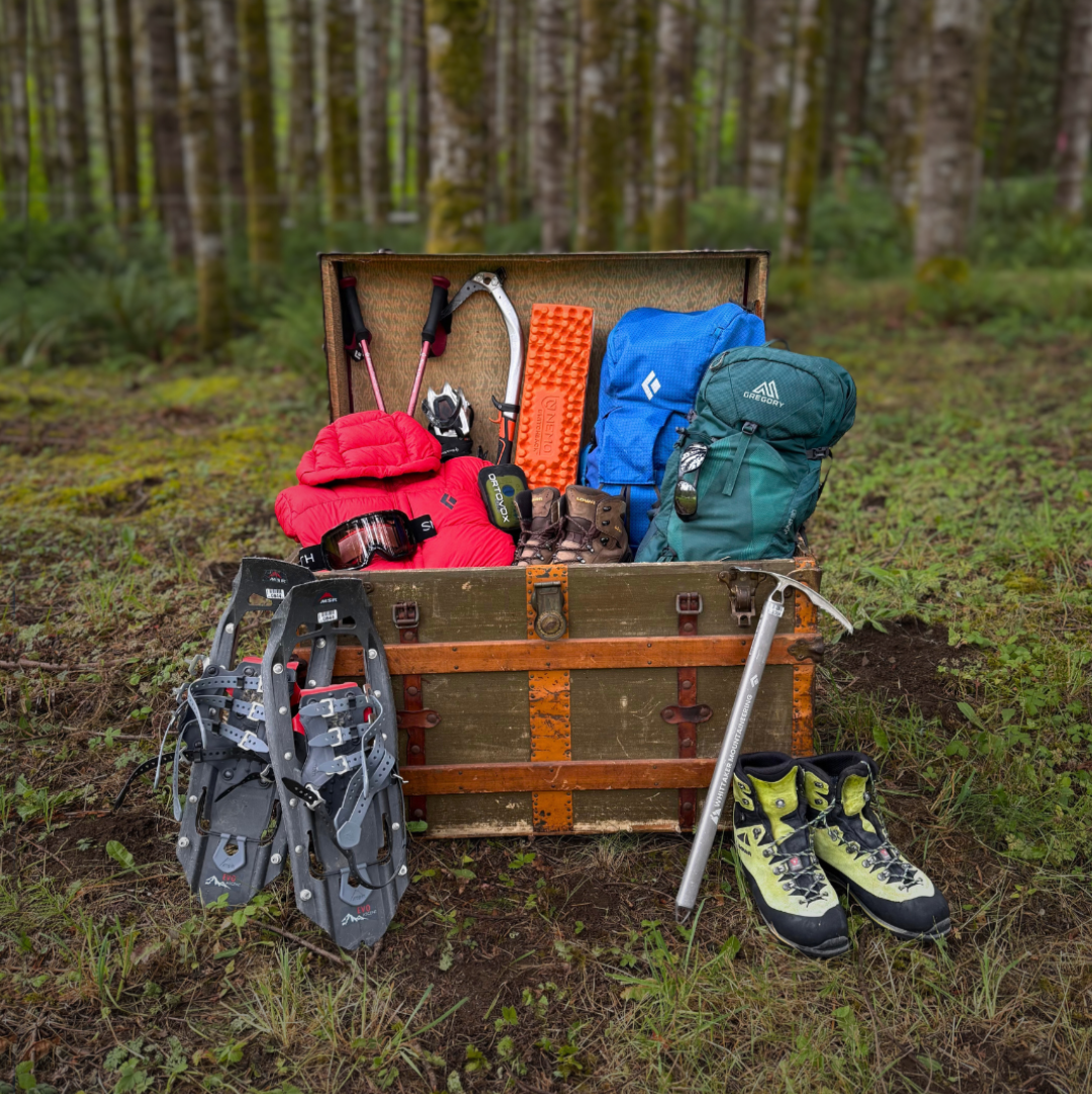 Trunk filled with outdoor gear including backpacks, shoes, and tools in a forest setting