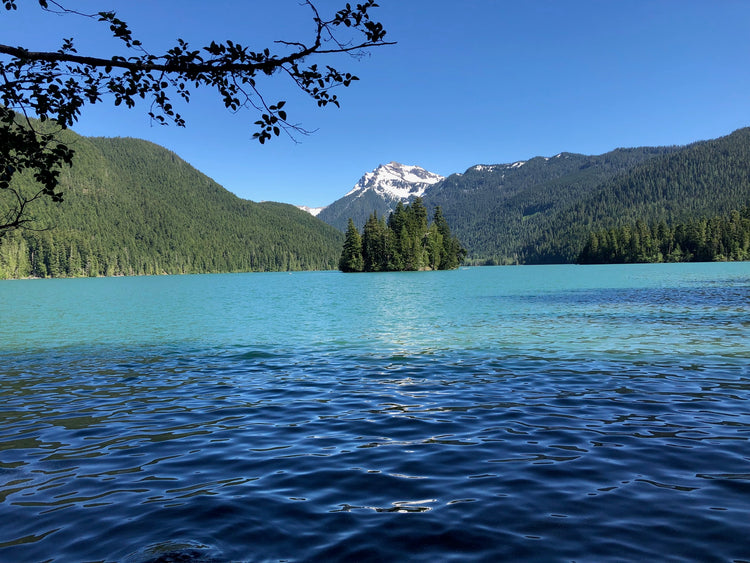 Packwood Lake