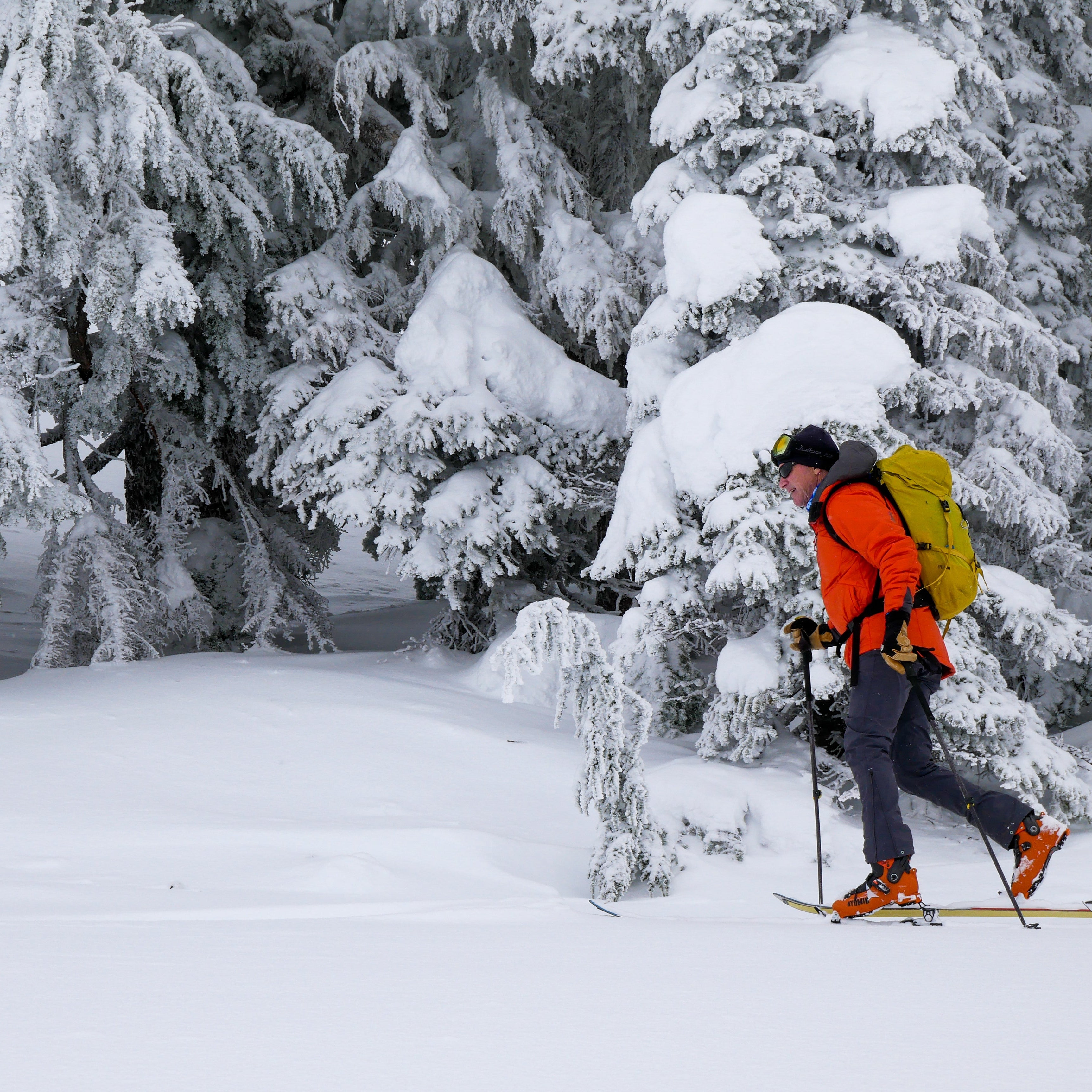 Person skiing through a snowy forest with trees heavily laden with snow.