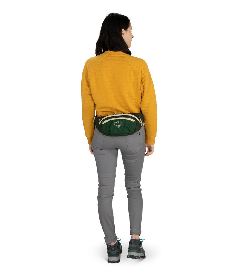 Load image into Gallery viewer, Daylite Waist Pack
