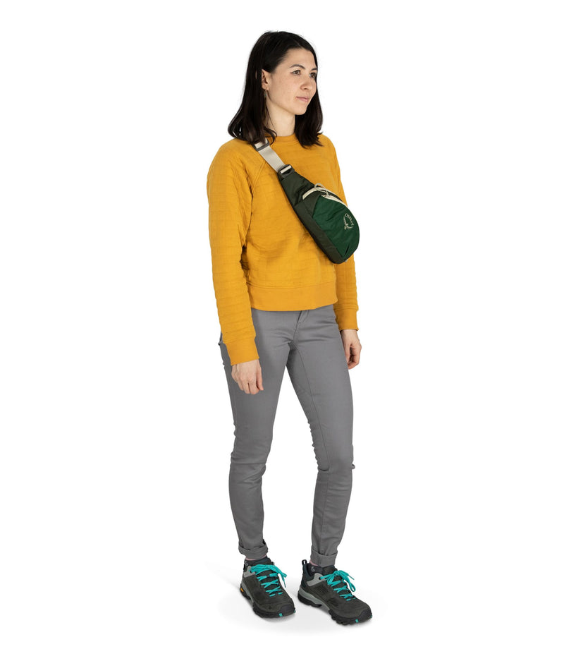 Load image into Gallery viewer, Daylite Waist Pack
