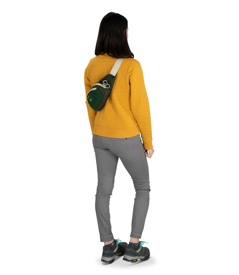 Load image into Gallery viewer, Daylite Waist Pack
