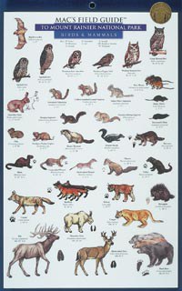 Mac's Field Guide: Mt Rainier Mammals and Birds