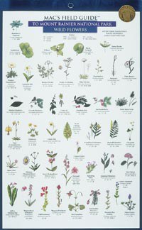 Mac's Field Guide: Mt Rainier Flowers and Trees
