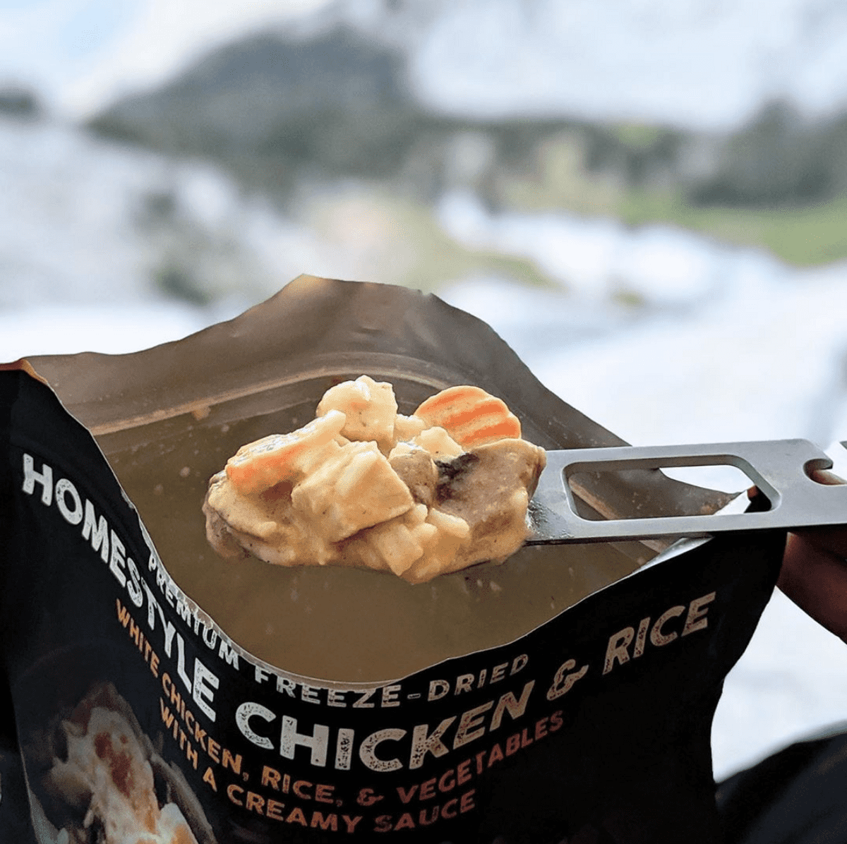 Homestyle Chicken & Rice