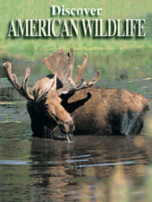 Discover American Wildlife Playing Cards